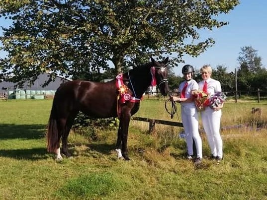 Årets forædlede 3 års hoppe fra Karina Månsson, flot fremvist af Emma Månsson Årets forædlede 3 års hoppe fra Karina Månsson, flot fremvist af Emma Månsson